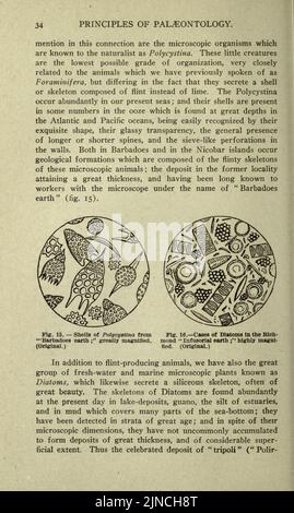 Die alte Lebensgeschichte der Erde (Seite 34) Stockfoto