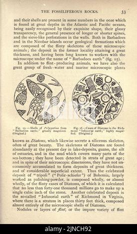 Die alte Lebensgeschichte der Erde (Seite 33) Stockfoto