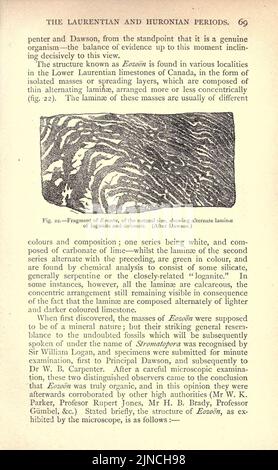 Die alte Lebensgeschichte der Erde (Seite 69) Stockfoto