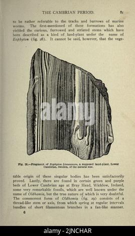 Die alte Lebensgeschichte der Erde (Seite 81) Stockfoto