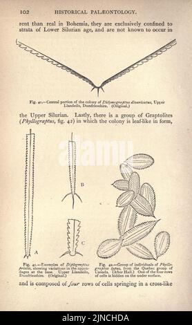 Die alte Lebensgeschichte der Erde (Seite 102) Stockfoto