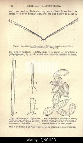 Die alte Lebensgeschichte der Erde (Seite 102) Stockfoto