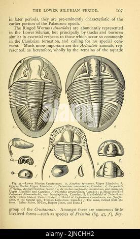 Die alte Lebensgeschichte der Erde (Seite 107) Stockfoto