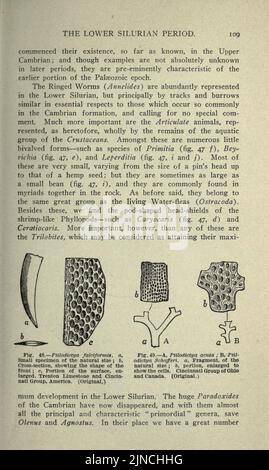 Die alte Lebensgeschichte der Erde (Seite 109) Stockfoto