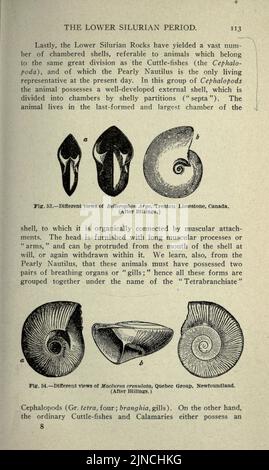 Die alte Lebensgeschichte der Erde (Seite 113) Stockfoto