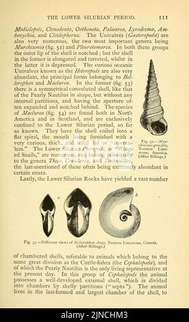 Die alte Lebensgeschichte der Erde (Seite 111) Stockfoto