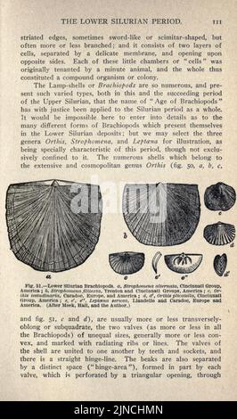 Die alte Lebensgeschichte der Erde (Seite 111) Stockfoto