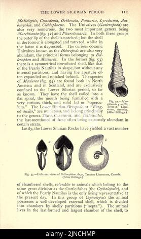 Die alte Lebensgeschichte der Erde (Seite 111) Stockfoto