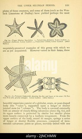 Die alte Lebensgeschichte der Erde (Seite 121) Stockfoto