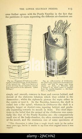 Die alte Lebensgeschichte der Erde (Seite 113) Stockfoto