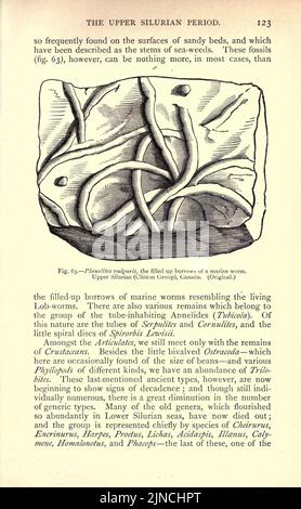 Die alte Lebensgeschichte der Erde (Seite 123) Stockfoto