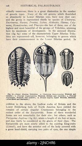 Die alte Lebensgeschichte der Erde (Seite 126) Stockfoto