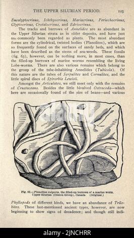 Die alte Lebensgeschichte der Erde (Seite 125) Stockfoto