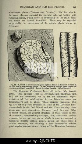 Die alte Lebensgeschichte der Erde (Seite 141) Stockfoto