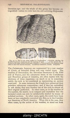 Die alte Lebensgeschichte der Erde (Seite 140) Stockfoto