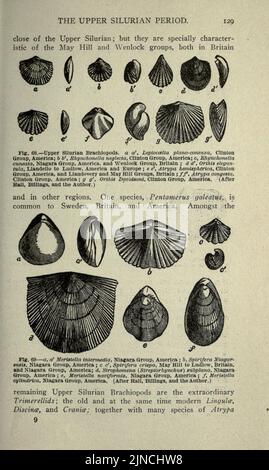 Die alte Lebensgeschichte der Erde (Seite 129) Stockfoto