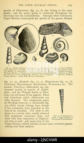 Die alte Lebensgeschichte der Erde (Seite 129) Stockfoto