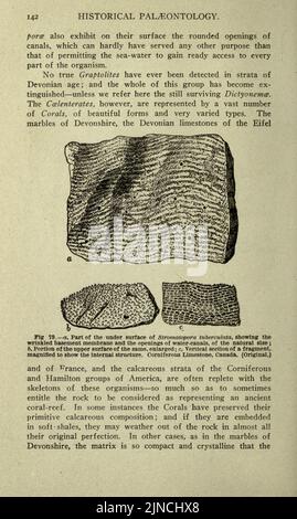 Die alte Lebensgeschichte der Erde (Seite 142) Stockfoto