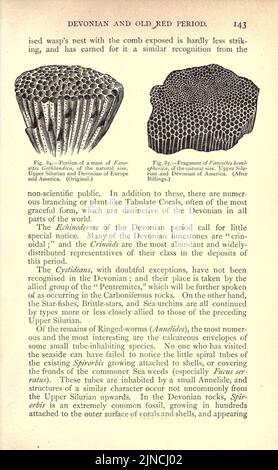 Die alte Lebensgeschichte der Erde (Seite 143) Stockfoto