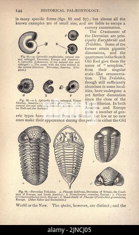 Die alte Lebensgeschichte der Erde (Seite 144) Stockfoto
