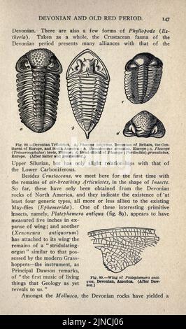 Die alte Lebensgeschichte der Erde (Seite 147) Stockfoto