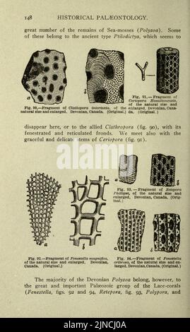 Die alte Lebensgeschichte der Erde (Seite 148) Stockfoto