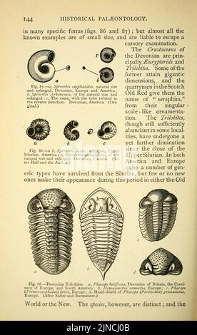 Die alte Lebensgeschichte der Erde (Seite 144) Stockfoto