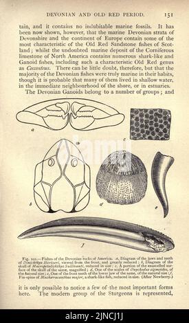 Die alte Lebensgeschichte der Erde (Seite 151) Stockfoto