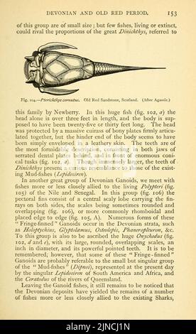 Die alte Lebensgeschichte der Erde (Seite 153) Stockfoto