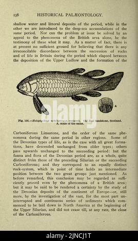 Die alte Lebensgeschichte der Erde (Seite 158) Stockfoto