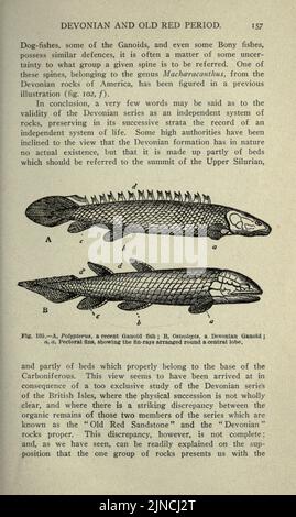 Die alte Lebensgeschichte der Erde (Seite 157) Stockfoto