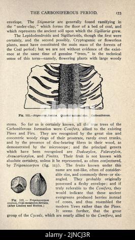 Die alte Lebensgeschichte der Erde (Seite 173) Stockfoto