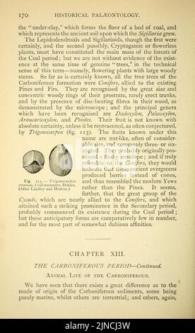 Die alte Lebensgeschichte der Erde (Seite 170) Stockfoto