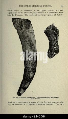 Die alte Lebensgeschichte der Erde (Seite 169) Stockfoto