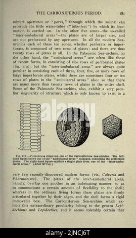 Die alte Lebensgeschichte der Erde (Seite 181) Stockfoto
