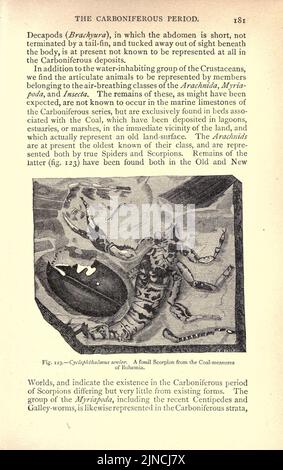 Die alte Lebensgeschichte der Erde (Seite 181) Stockfoto