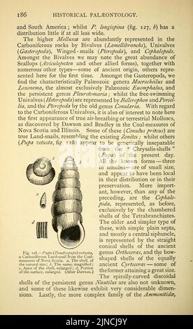 Die alte Lebensgeschichte der Erde (Seite 186) Stockfoto