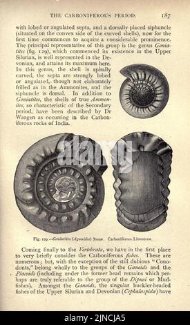 Die alte Lebensgeschichte der Erde (Seite 187) Stockfoto