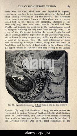 Die alte Lebensgeschichte der Erde (Seite 185) Stockfoto