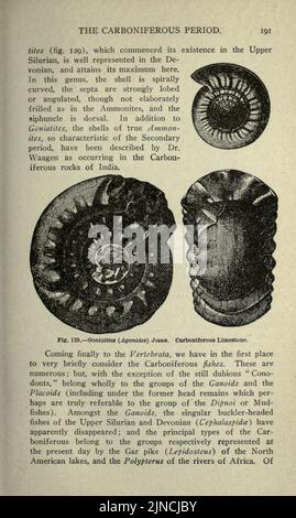 Die alte Lebensgeschichte der Erde (Seite 191) Stockfoto