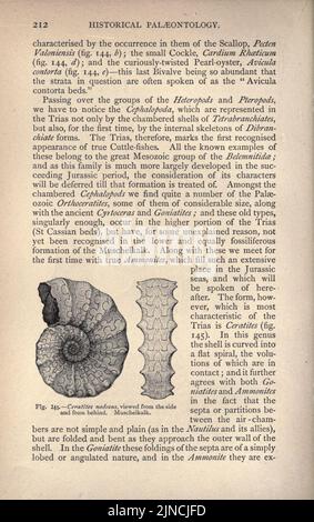 Die alte Lebensgeschichte der Erde (Seite 212) Stockfoto