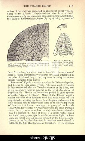 Die alte Lebensgeschichte der Erde (Seite 217) Stockfoto