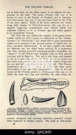 Die alte Lebensgeschichte der Erde (Seite 225) Stockfoto