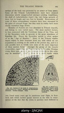 Die alte Lebensgeschichte der Erde (Seite 223) Stockfoto