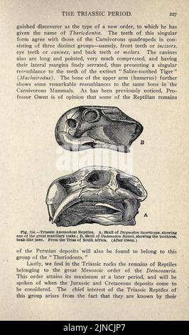 Die alte Lebensgeschichte der Erde (Seite 227) Stockfoto