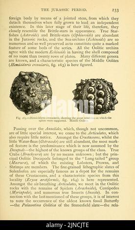 Die alte Lebensgeschichte der Erde (Seite 233) Stockfoto