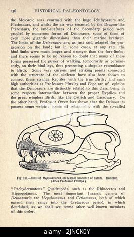Die alte Lebensgeschichte der Erde (Seite 256) Stockfoto