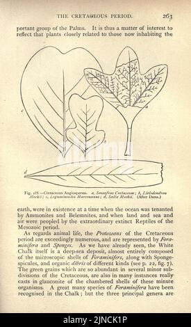 Die alte Lebensgeschichte der Erde (Seite 263) Stockfoto