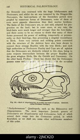 Die alte Lebensgeschichte der Erde (Seite 256) Stockfoto