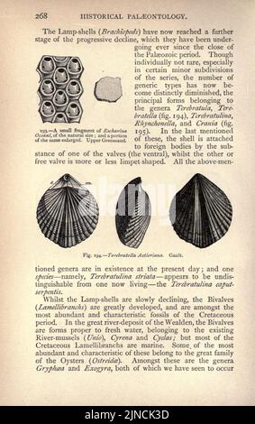 Die alte Lebensgeschichte der Erde (Seite 268) Stockfoto